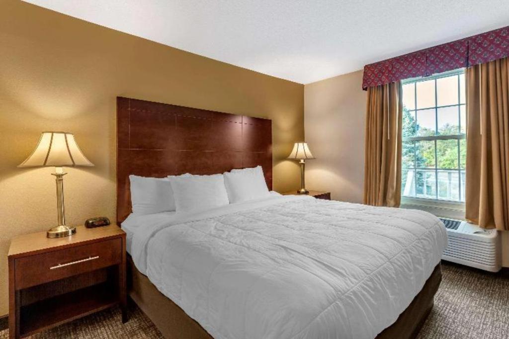 Comfort Inn Foxboro - Mansfield Foxborough Exterior foto