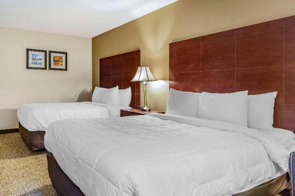 Comfort Inn Foxboro - Mansfield Foxborough Exterior foto